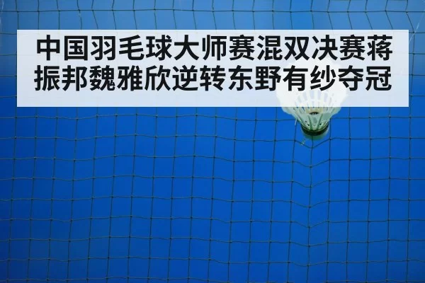 badminton net shot
